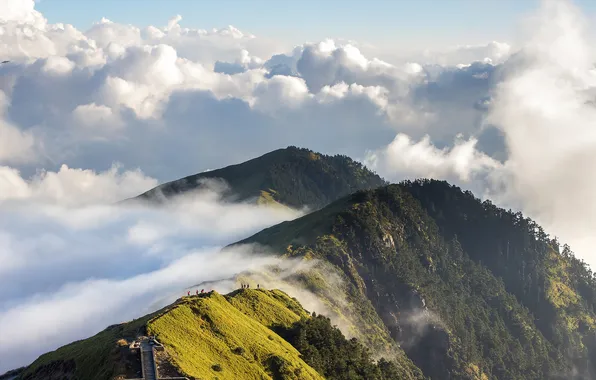 Cloud, mountain, tree