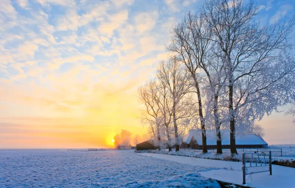 Winter, the sun, snow, trees, home, village