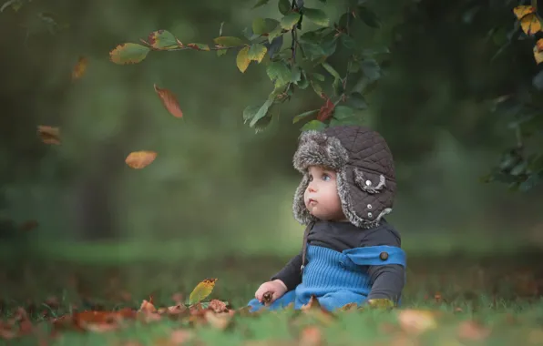 Picture leaves, branches, nature, baby, child, toddler, Baksza Daniel