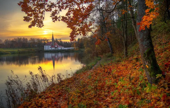 Picture autumn, trees, sunset, river, foliage, the evening, Ed Gordeev