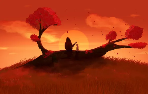 Sunset, The sun, Dog, Boy, Star, Puppy, Fantasy, Landscape