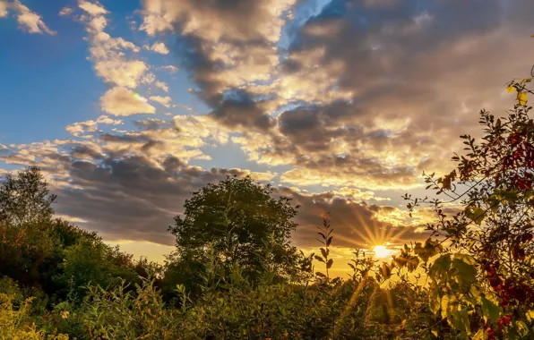 Picture sunset, France, According to the castle