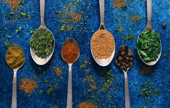 Greens, seeds, dill, pepper, placer, different, blue background, spices