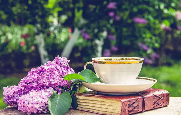 Picture summer, branches, nature, table, Cup, book, lilac