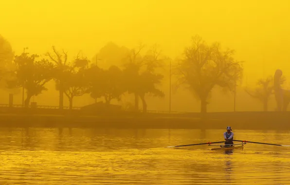 River, sport, rowing