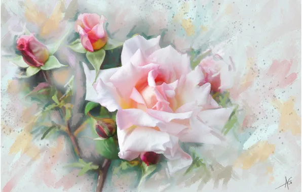 Picture flower, flowers, pink, graphics, Rose, painting, gently, pastel colors