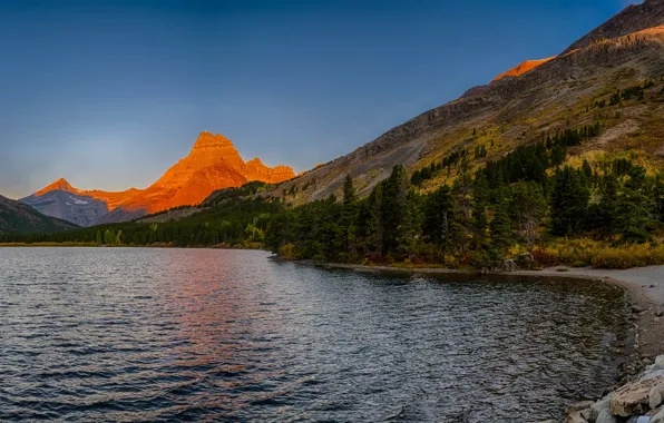 Forest, trees, sunset, mountains, lake, stones, rocks, USA