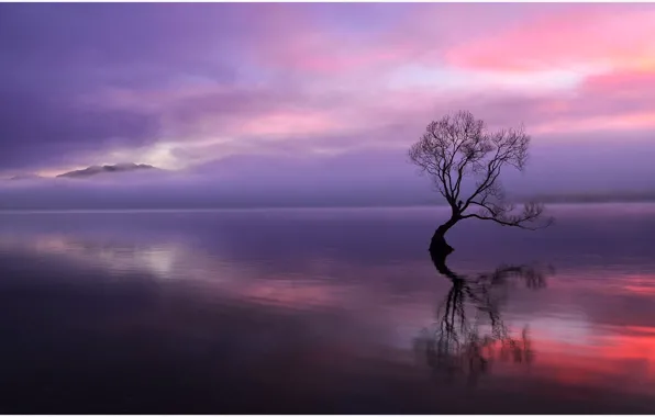 Clouds, sunset, mountains, lake, reflection, tree, the evening, dry