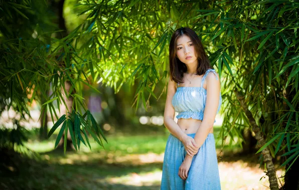Picture leaves, branches, brown hair, Asian, cutie