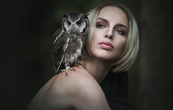 Picture eyes, look, girl, face, the dark background, each, owl, bird