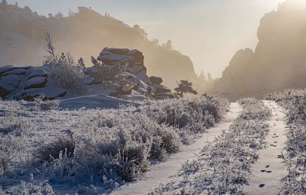 Winter, the sun, snow, mountains, nature, photo, road, frost