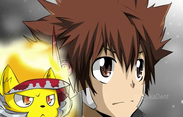 Guy, lion, Katekyo Hitman reborn, Teacher mafia Reborn, Sawada Tsuyoshi