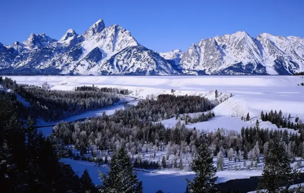 Picture river, trees, winter, snow, Delta