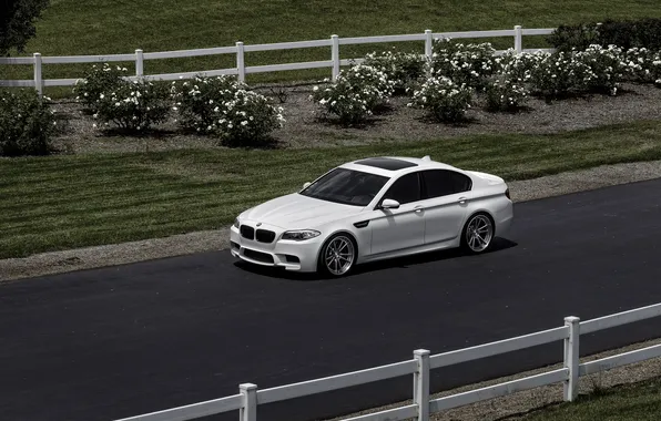 Road, white, black, BMW, BMW, white, the view from the top, Luke