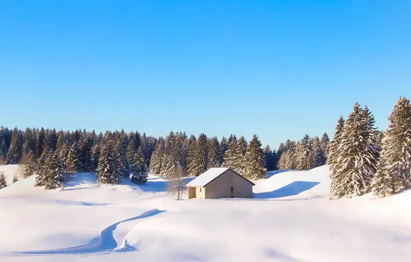 Picture winter, forest, the sky, snow, nature, France, house, Jura