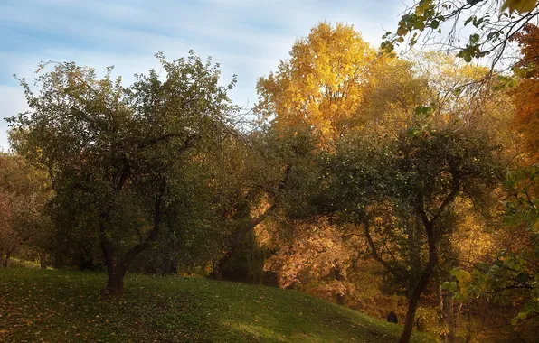 Autumn, Moscow, Tsaritsyno, Anastasia Chavykina