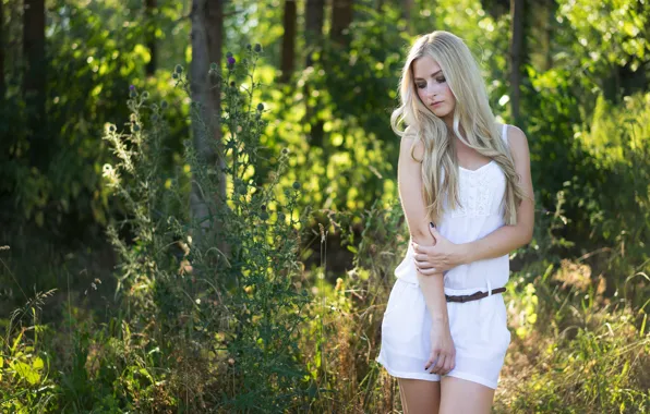 Picture forest, girl, trees, hair, shorts, blonde, girl, sexy