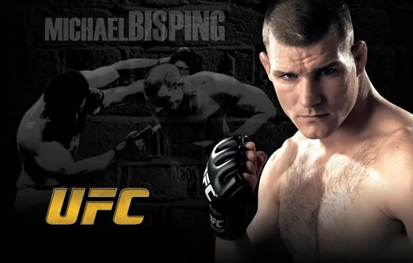 Picture fighter, fighter, count, mma, ufc, mixed martial arts, michael bisping, Michael Bisping