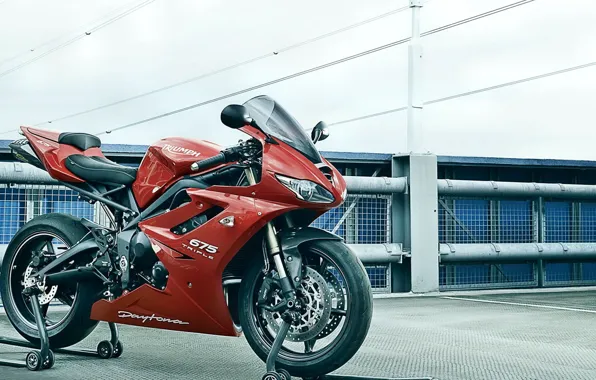 Picture red, bike, motorcycle, wheel, daytona, triumph, motorbike, 675r