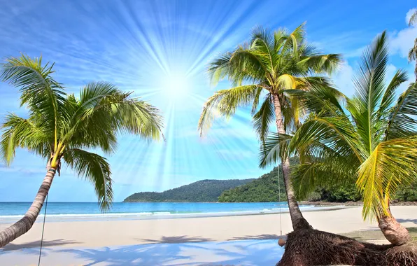 Sand, sea, wave, beach, summer, the sky, palm trees, shore