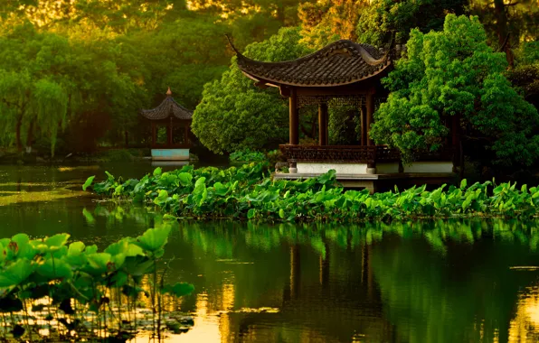 Water, trees, pond, Park, garden, China, pagoda, Lotus
