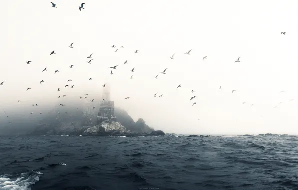 Fog, Lighthouse, Seagulls, Russia, Lighthouse, Fog, Abandoned, Abandoned
