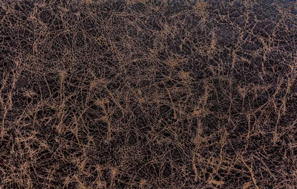 Surface, divorce, texture, leather, brown, relief, texture, brown