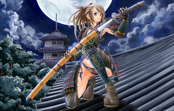 Picture roof, girl, trees, night, the moon, Asia, sword, art