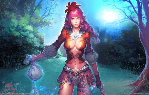 Picture forest, girl, elf, sword, armor, twilight, CG wallpapers, digital art