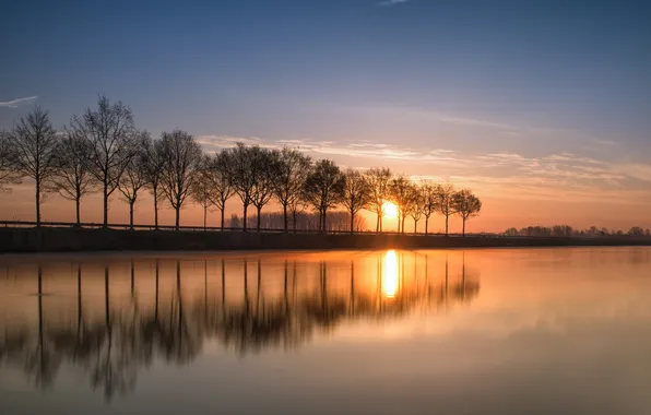 Picture trees, reflection, river, sunrise, dawn, channel