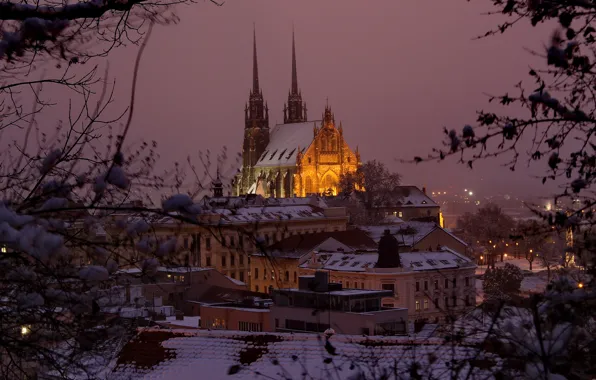 Picture winter, roof, snow, trees, night, branches, lights, home