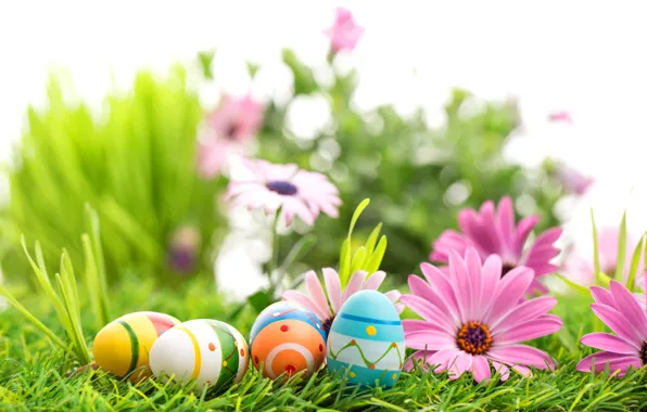 Picture flowers, spring, Easter, flowers, Easter, eggs