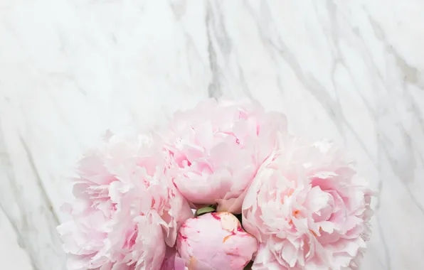 Flowers, bouquet, marble, pink, flowers, peonies, peonies, tender