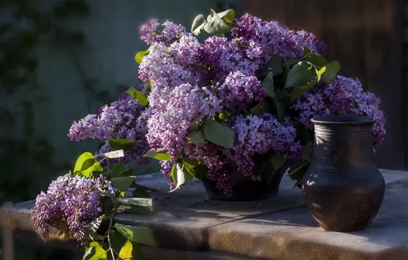 Leaves, light, flowers, table, Board, bouquet, spring, pot