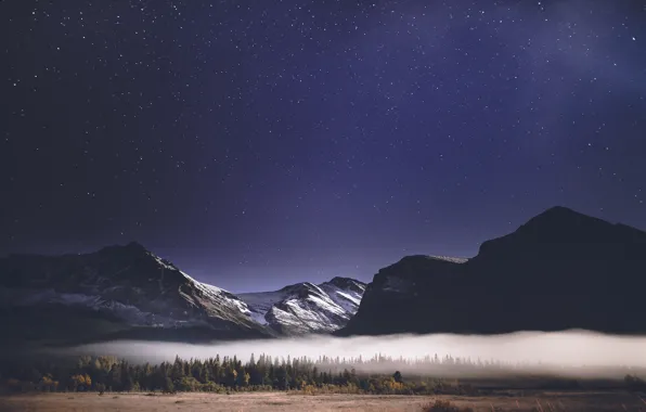 Forest, the sky, stars, mountains, night, fog