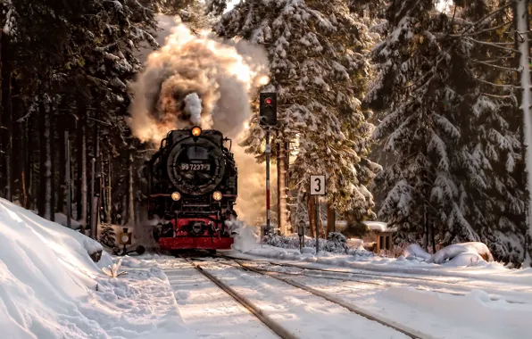 Picture winter, forest, snow, the engine