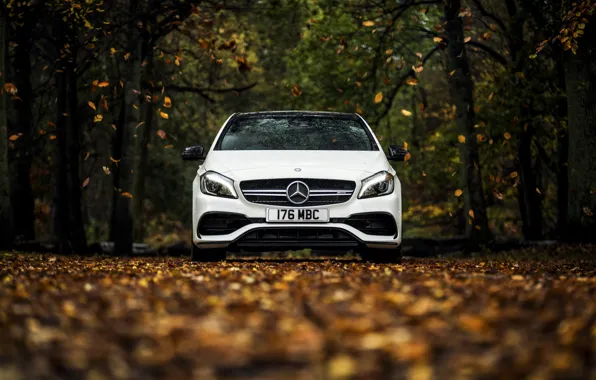 Picture autumn, white, leaves, Mercedes-Benz, Mercedes, AMG, AMG, A-class