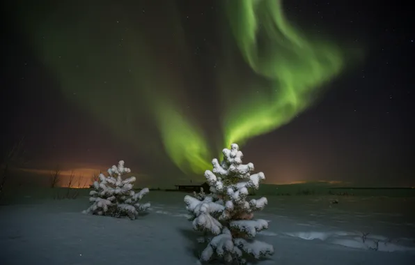 Picture winter, stars, night, Northern lights, Aurora Borealis