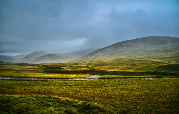 Picture field, fog, stream, storm, hill, gray clouds