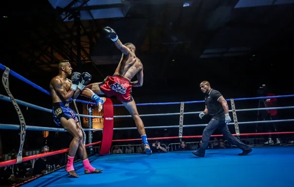 Attack, blow, the ring, Thai Boxing, photographer, fighters, welcome, the judge