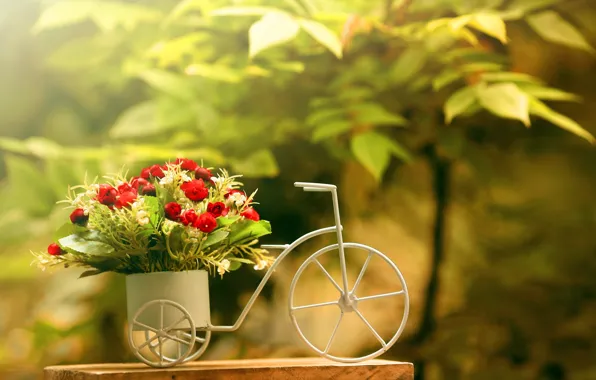 Flowers, bike, background, roses