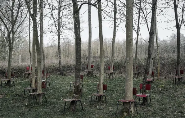 Trees, nature, chairs