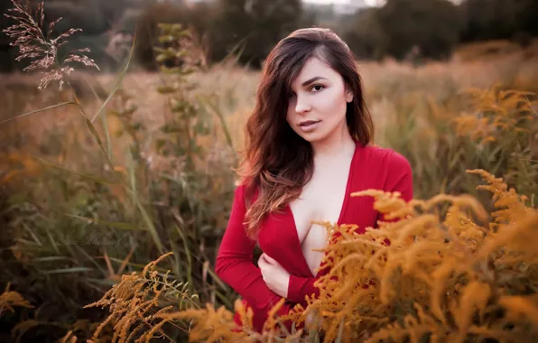 Field, grass, look, trees, sexy, model, portrait, makeup