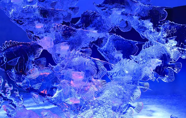 Picture ice, fish, Canada, sculpture, Ottawa, Confederation Park