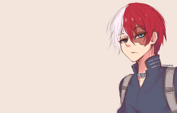 Look, guy, My Hero Academia, Boku No Hero Academy, Todoroki Shoto, My Hero Academy