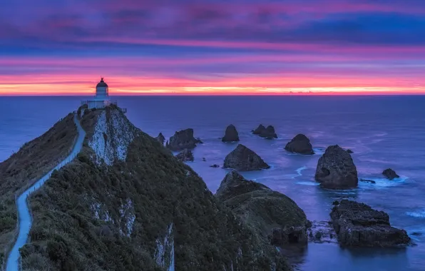 Sea, rocks, lighthouse, New Zealand, horizon, glow, Cape