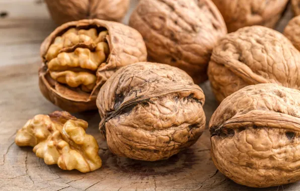 Picture nuts, walnut, Júglans period, Nucleoli