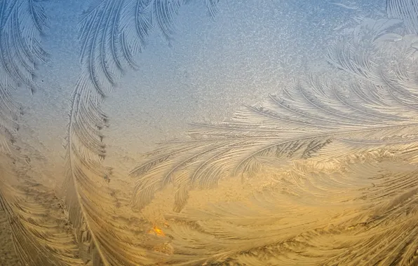 Cold, winter, glass, patterns