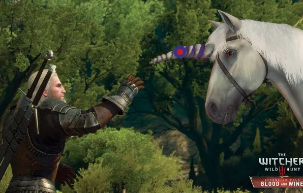 Picture unicorn, the Witcher, Geralt, DLC, The Witcher 3: Wild Hunt, Blood and Wine, Blood and …