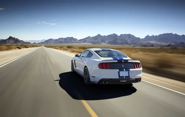 Shelby, 350, 2015